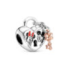 Charms pour bracelet type Pandora – Perles et pendentifs personnalisés pour femme - 23